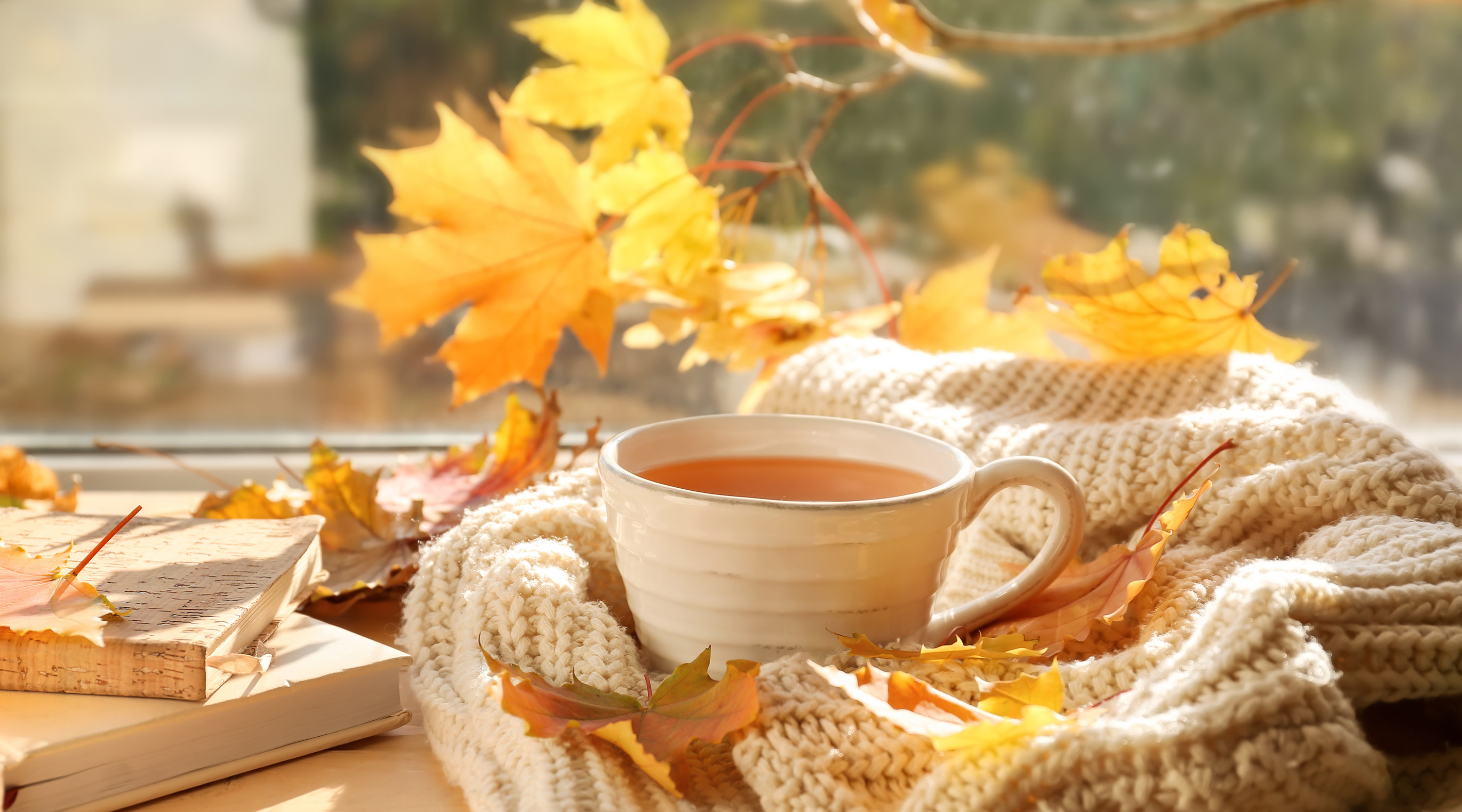 Eine gemütliche Herbstszene mit einer weißen Tasse Tee, die auf einer weichen, cremefarbenen Strickdecke steht. Um die Tasse herum liegen bunte Herbstblätter in Gelb-, Orange- und Rottönen. Im Hintergrund ist ein Fenster mit unscharfem Blick ins Freie zu sehen, durch das warme Herbstsonne fällt. Links im Bild liegen zwei Bücher, die die gemütliche Atmosphäre unterstreichen.
