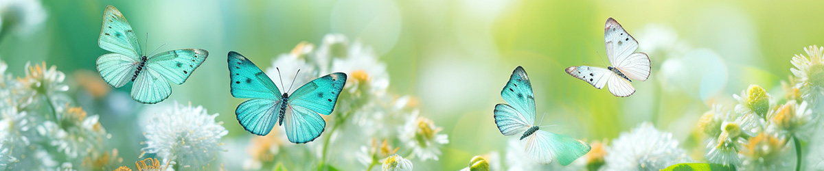 Vier türkisfarbene Schmetterlinge mit schwarzen Akzenten flattern über einer blühenden Frühlingswiese mit weißen und gelben Blumen. Der Hintergrund ist sanft verschwommen in hellen Grüntönen, was eine frische und lebendige Atmosphäre erzeugt.