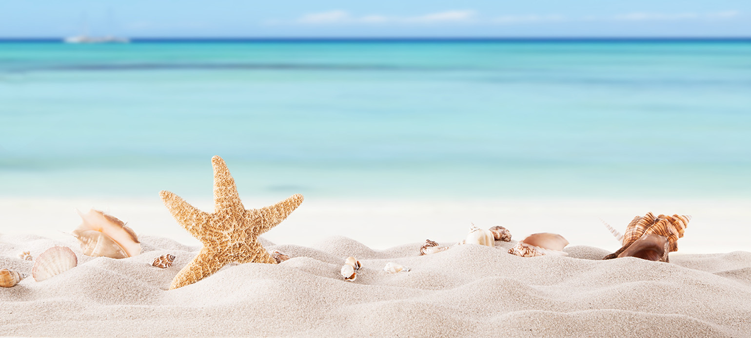 Strandszene mit hellem Sand, einem Seestern und verschiedenen Muscheln im Vordergrund. Im Hintergrund das türkisfarbene Meer und ein blauer Himmel.